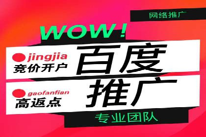 某SEM主管的跨平台广告投放策略与成果